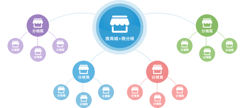 微分销系统开发的一般特点是什么